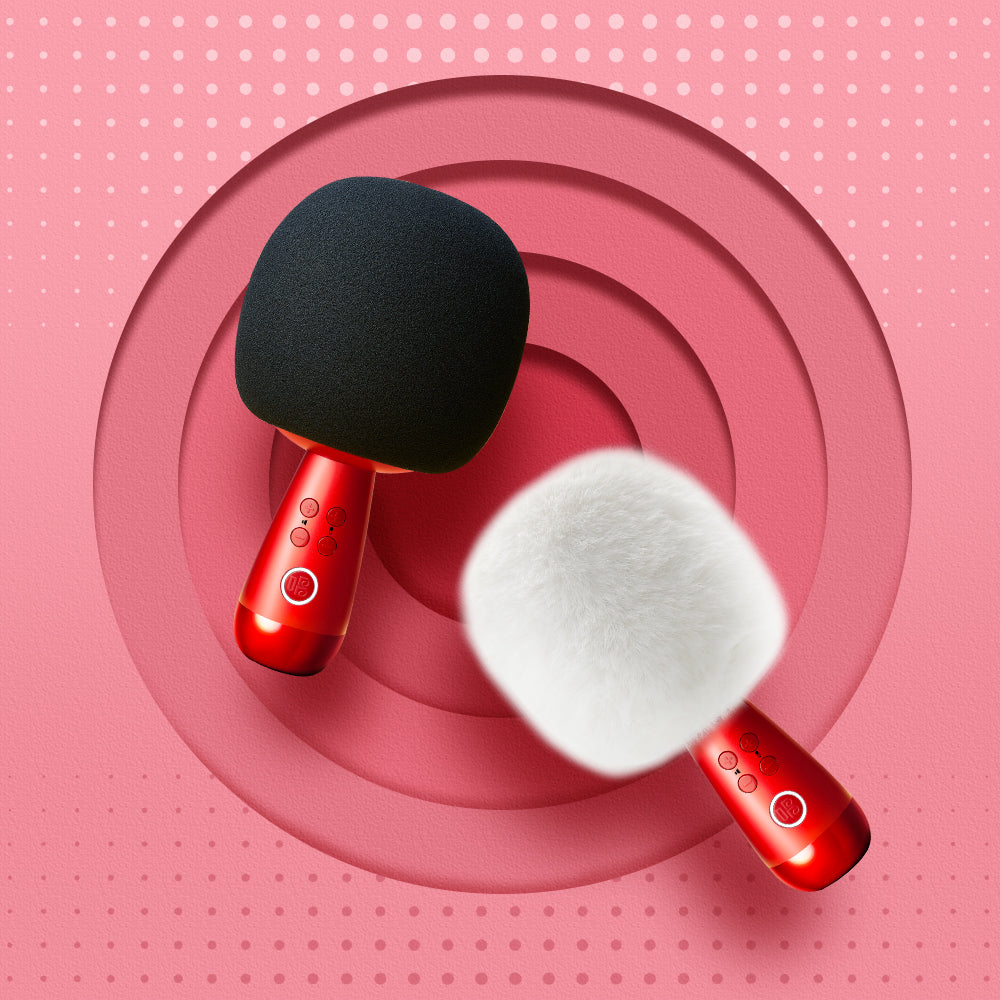 G2 Small Dome Microphone Home Bluetooth K Song